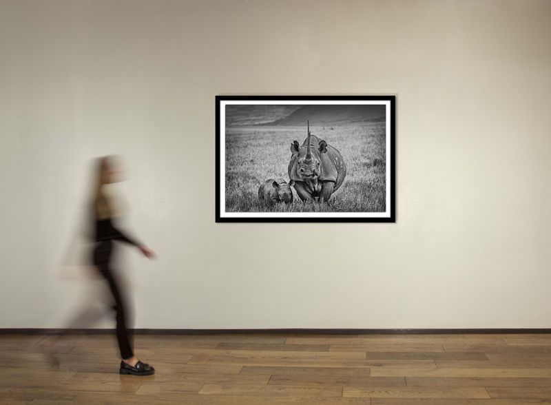 40 x 60 in., edition of 15
